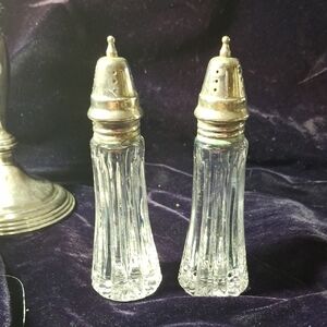 Stylish Silver and Clear Glass Salt and Pepper Shakers